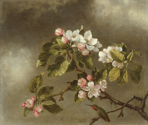 Heade_Martin_Johnson_Hummingbird_And_Apple_Blossoms