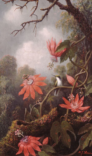 Heade_Martin_Johnson_Hummingbird_And_Passionflowers